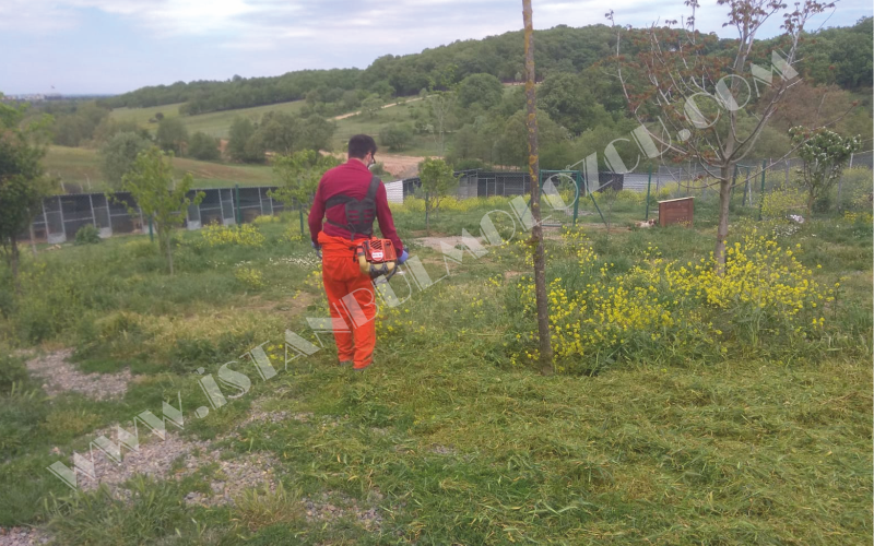 Çim biçme işi, Bahçe Düzenleme ve Temizleme Hizmeti